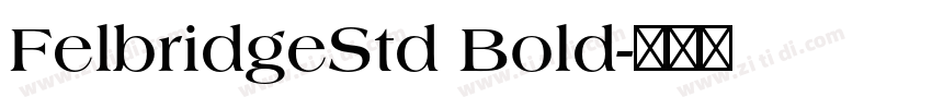 FelbridgeStd Bold字体转换